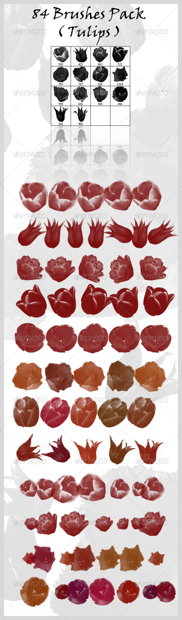 GraphicRiver 84 Brushes Pack Tulips 4008996 GraphicRiver 84 Brushes Pack Tulips 4008996