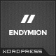 Endymion - Simple Corporate Wordpress Theme - ThemeForest Item for Sale