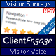 Visitor Voice - Effective Website Surveys - CodeCanyon Item for Sale