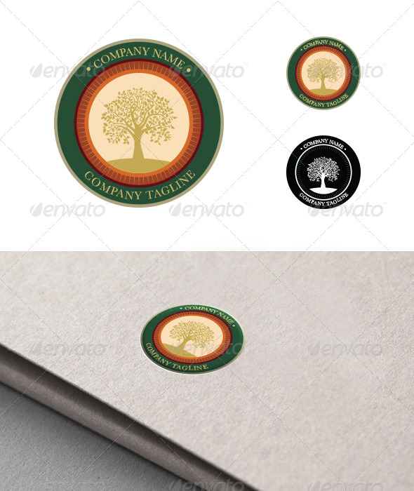GraphicRiver Private College Logo 4104162 GraphicRiver Private College Logo 4104162