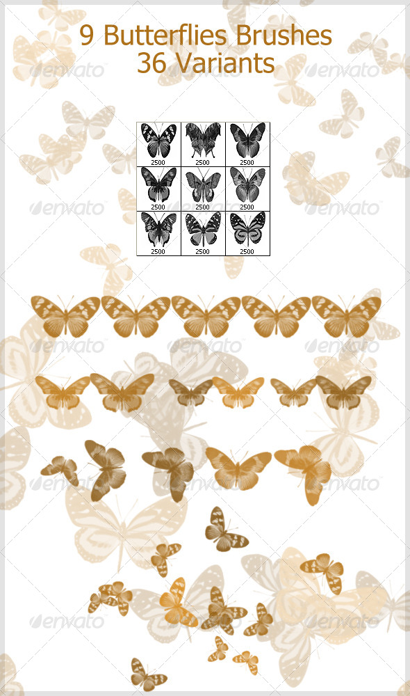 GraphicRiver 9 Butterflies Brushes 2500px 4208177 GraphicRiver 9 Butterflies Brushes 2500px 4208177