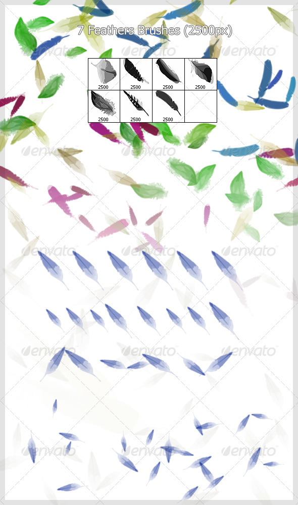 GraphicRiver 7 Feathers Brushes 2500px 4221510 GraphicRiver 7 Feathers Brushes 2500px 4221510