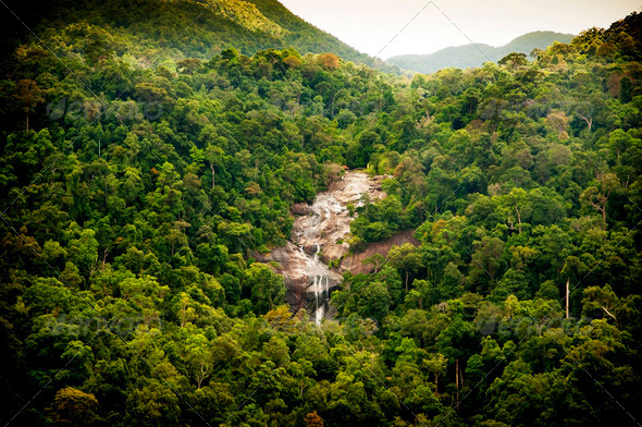 Jungle Waterfall - Stock Photo - Images