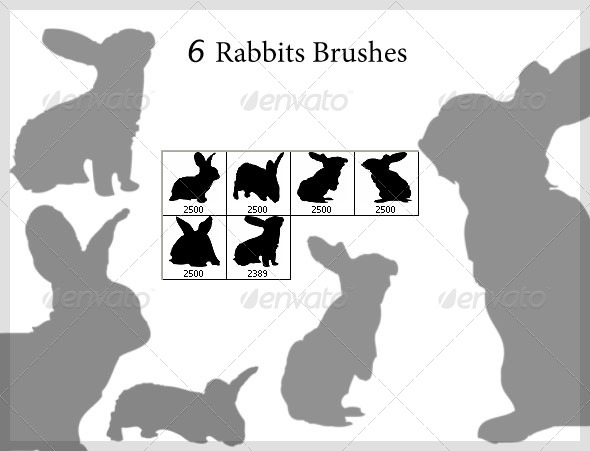 GraphicRiver 6 Rabbits Brushes 2500px 4290704 GraphicRiver 6 Rabbits Brushes 2500px 4290704