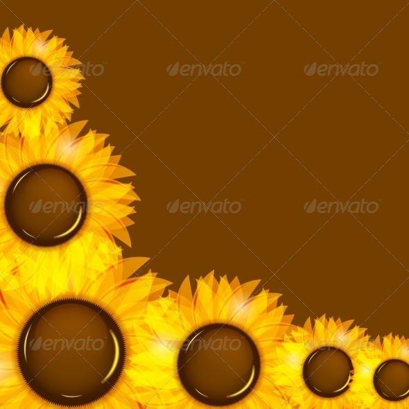 GraphicRiver Sunflowers Vector Illustration Background 4312508 GraphicRiver Sunflowers Vector Illustration Background 4312508