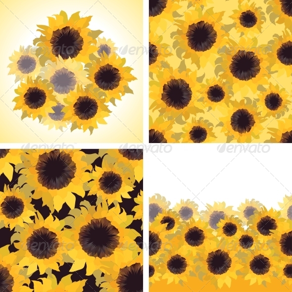 GraphicRiver Sunflower Patterns and Backgrounds 4329304 GraphicRiver Sunflower Patterns and Backgrounds 4329304