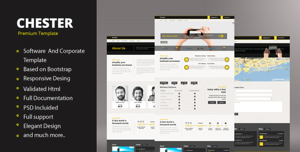 Chester - Responsive Template - Software Technology