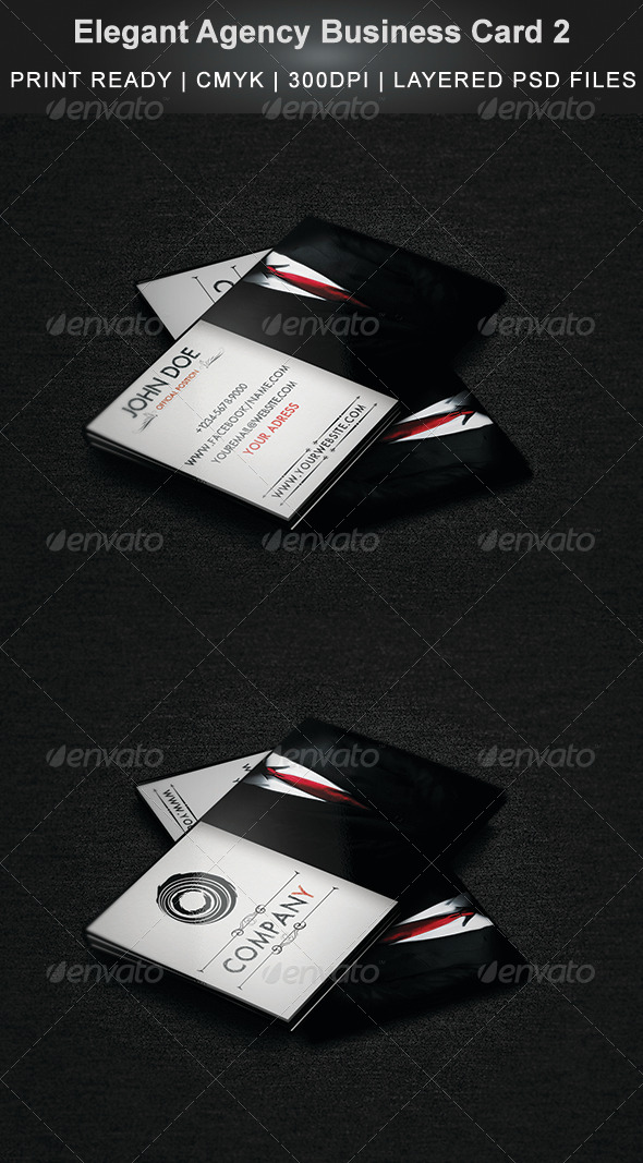 GraphicRiver Elegant Agency Business Card 2 4354691 GraphicRiver Elegant Agency Business Card 2 4354691