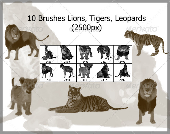 10 Brushes Lions Tigers Leopards (2500px) - Brushes Photoshop