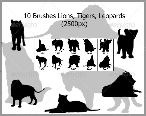10 Brushes Lions Tigers Leopards (2500px) - Brushes Photoshop