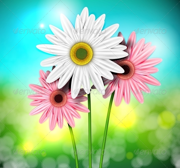 GraphicRiver Natural Background with Gerberas 4367818 GraphicRiver Natural Background with Gerberas 4367818