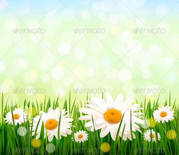 GraphicRiver Green Grass and Daisy Background 4397520 GraphicRiver Green Grass and Daisy Background 4397520