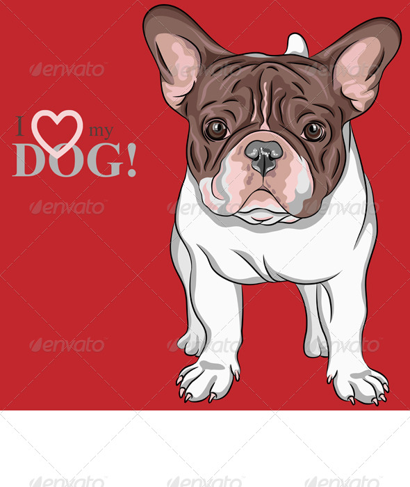 GraphicRiver French Bulldog 4407502 GraphicRiver French Bulldog 4407502