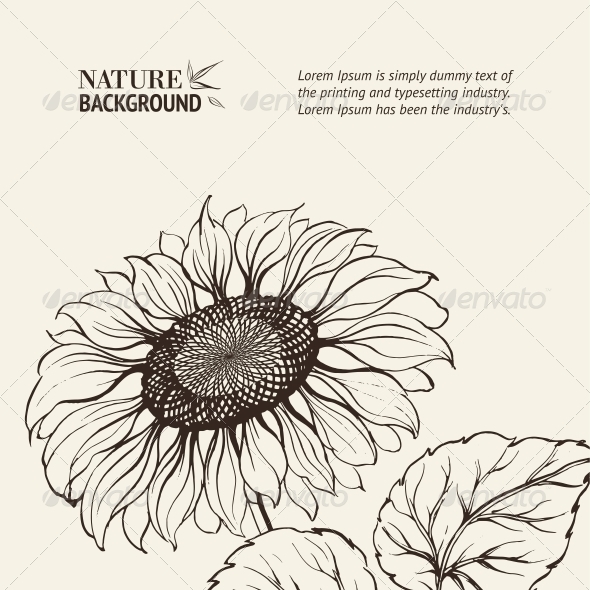 GraphicRiver Illustration of Sunflower 4410886 GraphicRiver Illustration of Sunflower 4410886