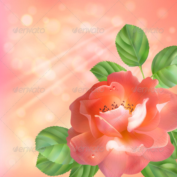 GraphicRiver Floral Background with Rose 4421056 GraphicRiver Floral Background with Rose 4421056