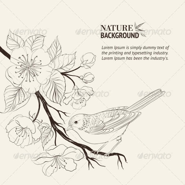 GraphicRiver Hand Drawn Bird on Sacura Branch 4422338 GraphicRiver Hand Drawn Bird on Sacura Branch 4422338