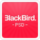 BlackBird - Multi Purpose PSD Template - ThemeForest Item for Sale
