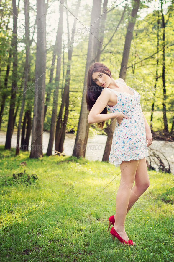 Summer in nature - Stock Photo - Images