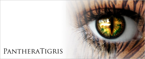PantheraTigris