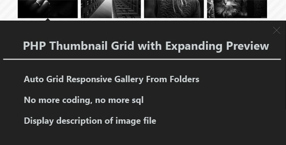 CodeCanyon PHP Auto Gallery With Expanding Preview 4519220 CodeCanyon PHP Auto Gallery With Expanding Preview 4519220