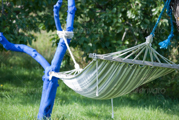 Hammock - Stock Photo - Images