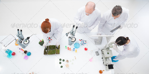 bird-eye of two teachers people in a chemistry lab supervising two students conducting experiments on a lab table with colorful liquids; molecular models; seedlings and lab tools