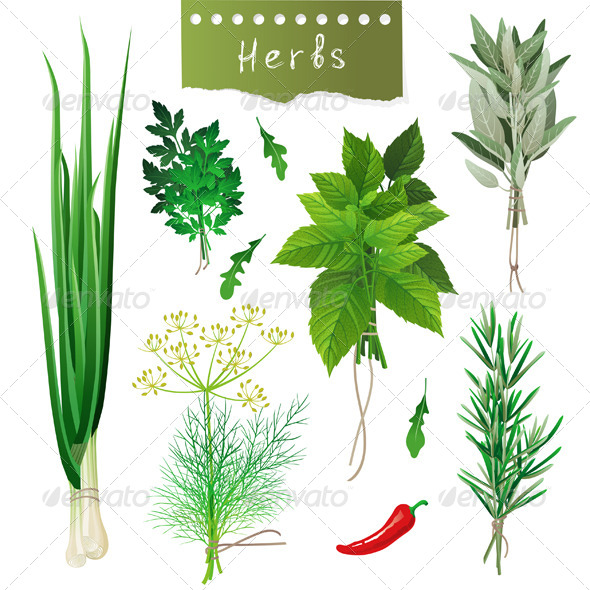 GraphicRiver Herbal Bunches 4599583 GraphicRiver Herbal Bunches 4599583