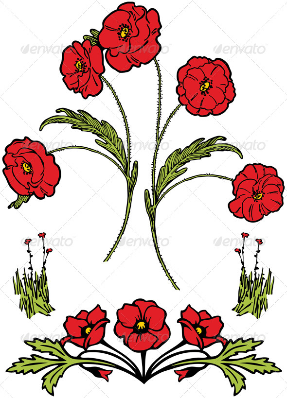 GraphicRiver Poppies 4600739 GraphicRiver Poppies 4600739