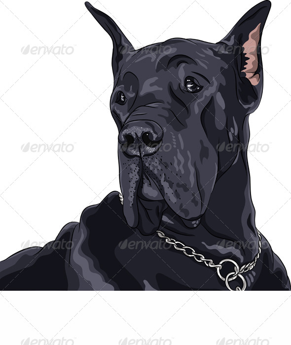GraphicRiver Vector Sketch Domestic Dog Black Great Dane Breed 4615575 GraphicRiver Vector Sketch Domestic Dog Black Great Dane Breed 4615575