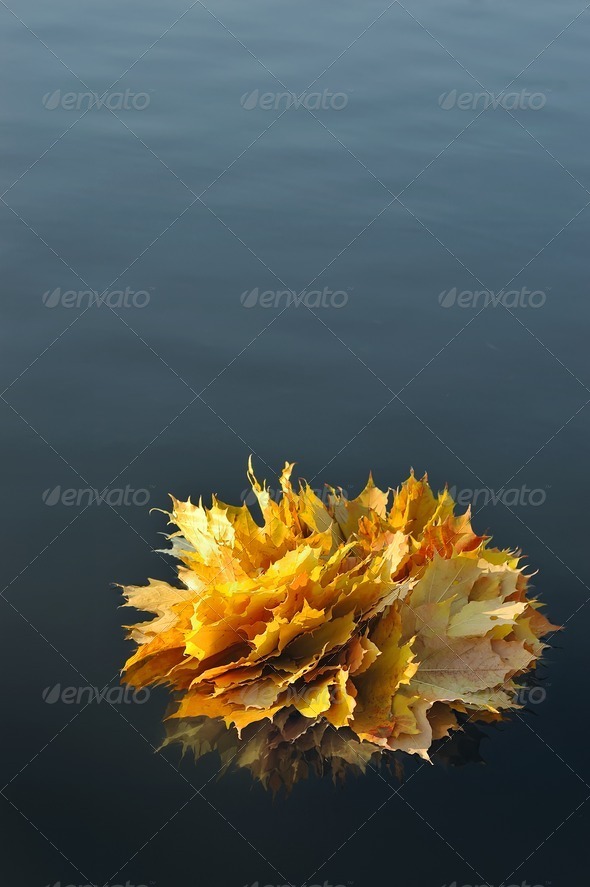 Bouquet of autumn leaves floating in water