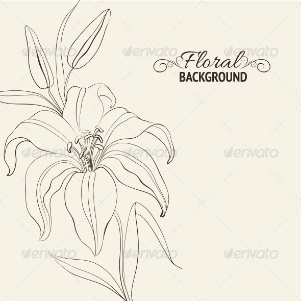 GraphicRiver Lily Flower Isolated Over White 4639526 GraphicRiver Lily Flower Isolated Over White 4639526