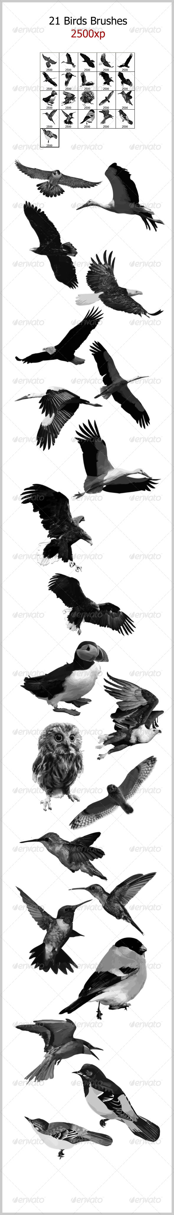GraphicRiver 21 Birds Brushes 2500px 4662303 GraphicRiver 21 Birds Brushes 2500px 4662303