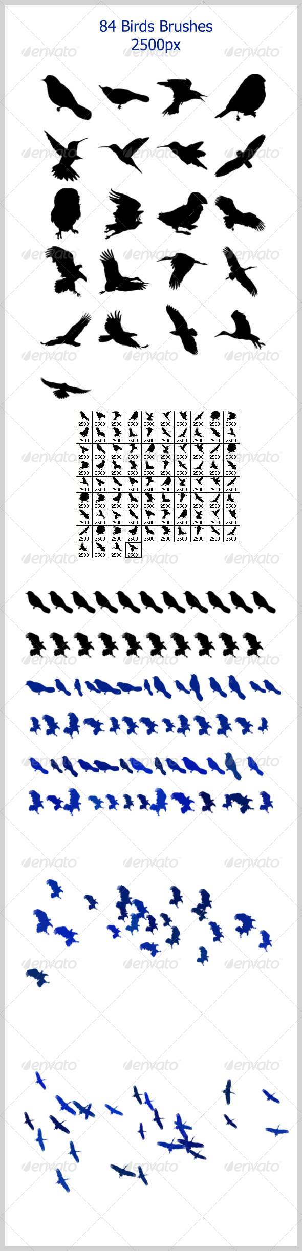 84 Birds Brushes (2500px) - Brushes Photoshop