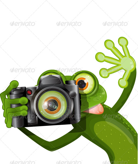 GraphicRiver Frog with a Camera 4715851 GraphicRiver Frog with a Camera 4715851