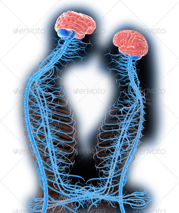 GraphicRiver Nervous System 4725978 GraphicRiver Nervous System 4725978