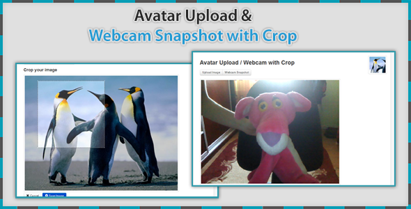 Avatar Upload & Webcam with Crop