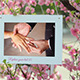 Photo Gallery and Cherry Blossoms Photo Gallery and Cherry Blossoms - VideoHive Item for Sale