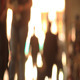 HUMAN SHADOWS HD1080p HUMAN SHADOWS HD1080p - VideoHive Item for Sale