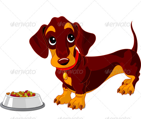 GraphicRiver Dachshund Dog 4759470 GraphicRiver Dachshund Dog 4759470