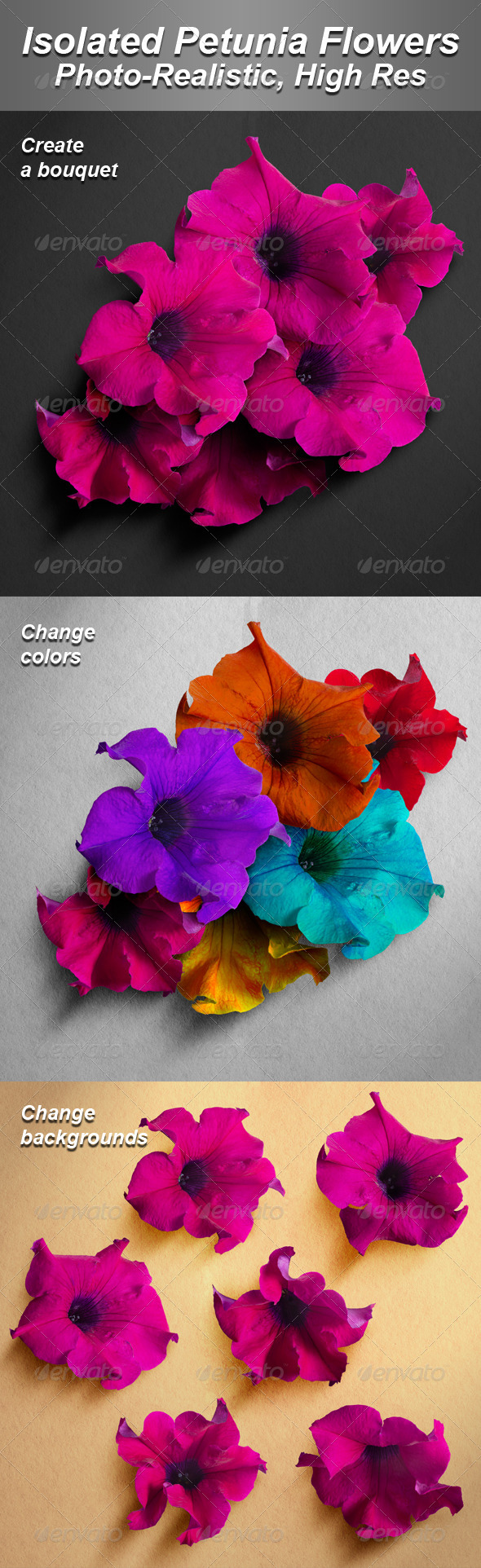 GraphicRiver 6 Isolated Photo-Realistic Petunia Flowers 4771995 GraphicRiver 6 Isolated Photo-Realistic Petunia Flowers 4771995