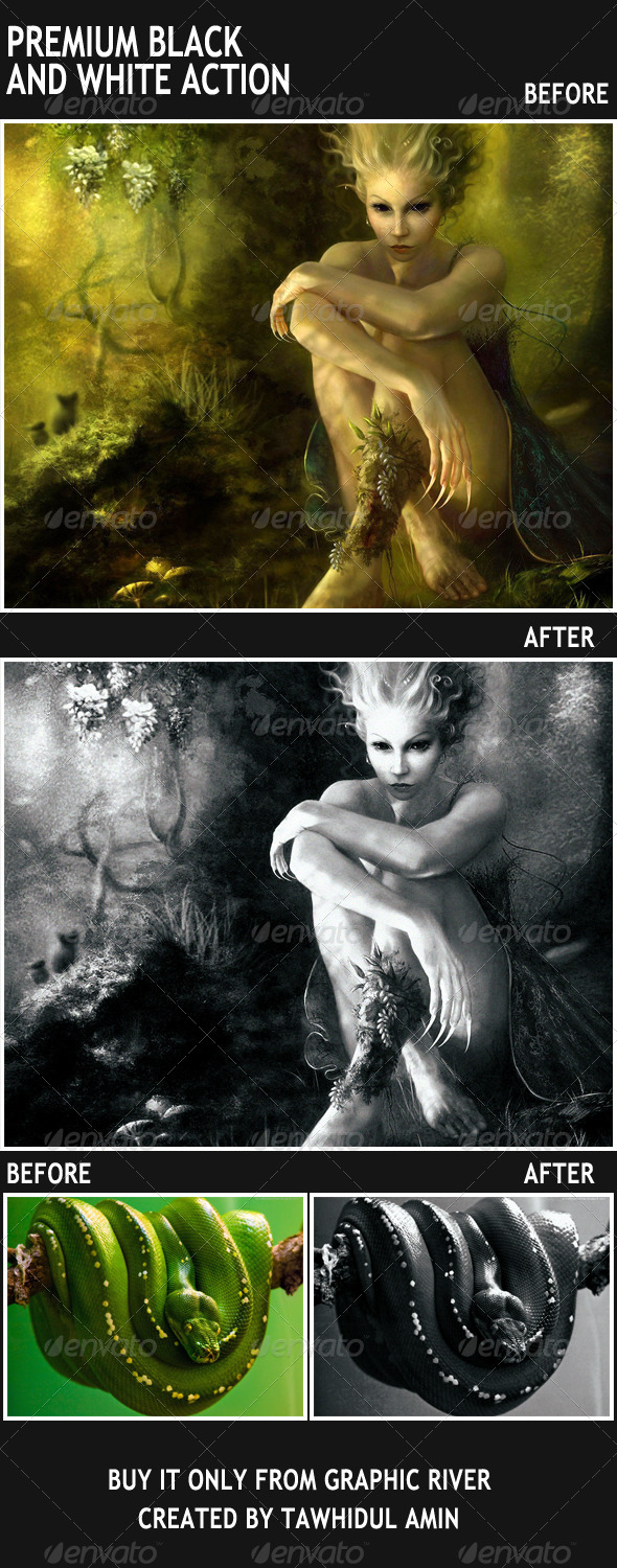 GraphicRiver Premium Black And White Action 4782495 GraphicRiver Premium Black And White Action 4782495