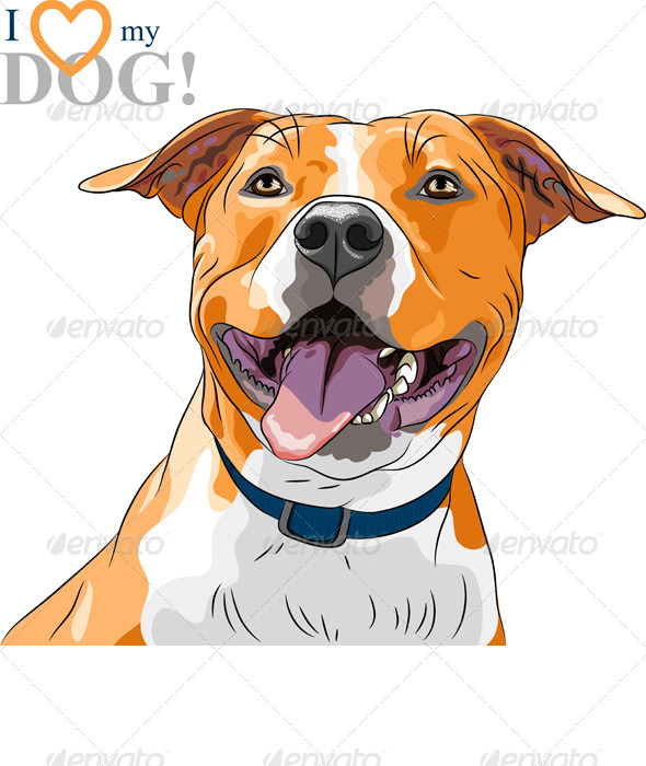 GraphicRiver Vector Dog American Staffordshire Terrier 4782925 GraphicRiver Vector Dog American Staffordshire Terrier 4782925