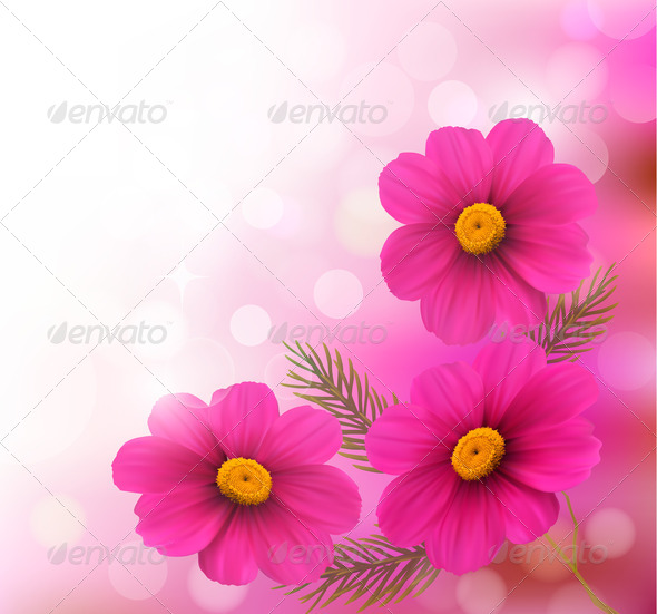 Holiday background with three pink flowers.