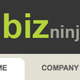 Biz Ninja - ThemeForest Item for Sale