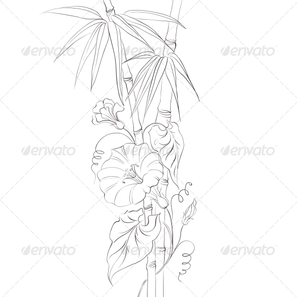 GraphicRiver Bindweed Flower and Bamboo 4827743 GraphicRiver Bindweed Flower and Bamboo 4827743