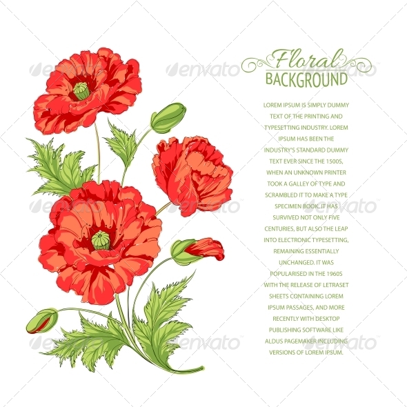 GraphicRiver Red Poppy Card 4827920 GraphicRiver Red Poppy Card 4827920