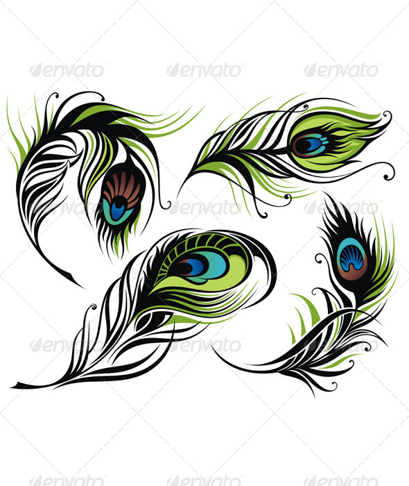 GraphicRiver Peacock Feathers 4836515 GraphicRiver Peacock Feathers 4836515