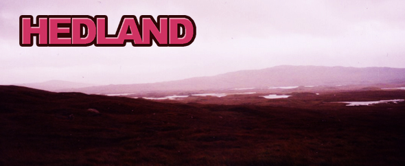 Nico_Hedland