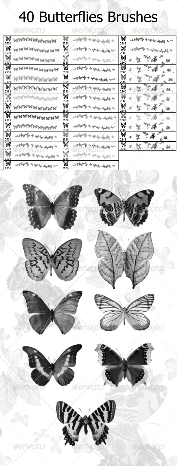 40 Butterflies Brushes (2500px) - Flourishes Brushes