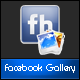 jQuery Facebook Gallery jQuery Facebook Gallery - CodeCanyon Item for Sale